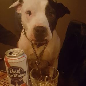 Meet your Posher, Dave